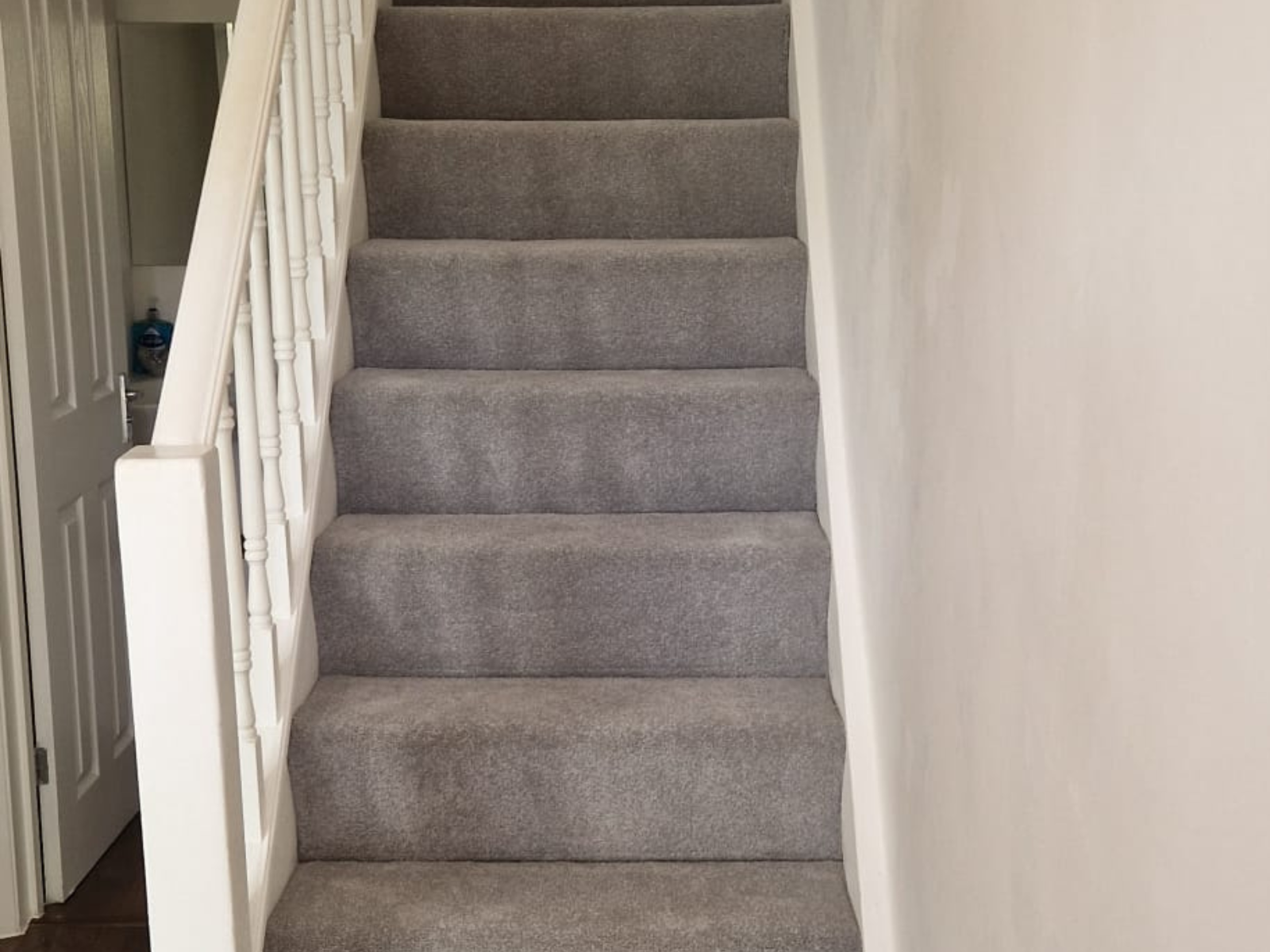 Website - Project Pictures (8)